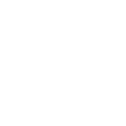 Visi